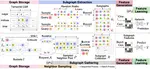 GENTI: GPU-powered Walk-based Subgraph Extraction for Scalable Representation Learning on Dynamic Graphs