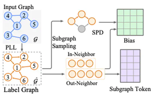 HubGT: Fast Graph Transformer with Decoupled Hierarchy Labeling